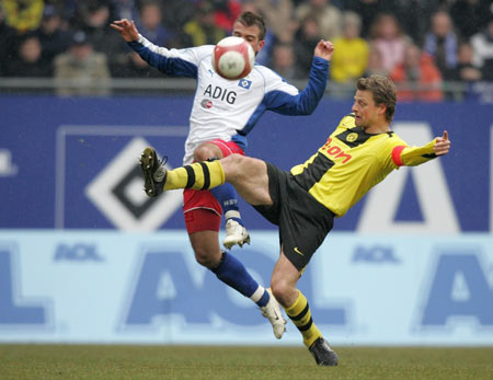 大的适应能 大的适应能